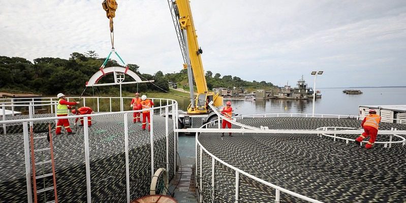 O Governo do Amazonas, por meio da Universidade do Estado do Amazonas (UEA), está auxiliando na implementação de cabos de fibra ótica, que levarão internet para 12 municípios do estado. Obra do Governo Federal conta com o auxílio da plataforma Selva e do boletim sazonal hidroclimático da universidade para a instalação de mais de mil quilômetros de cabos ao longo dos rios da região, firmando o compromisso do Estado em promover uma educação capacitada para transformar a Amazônia.